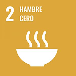 ODS Hambre cero