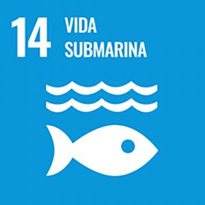 ODS Vida subamarina